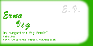 erno vig business card